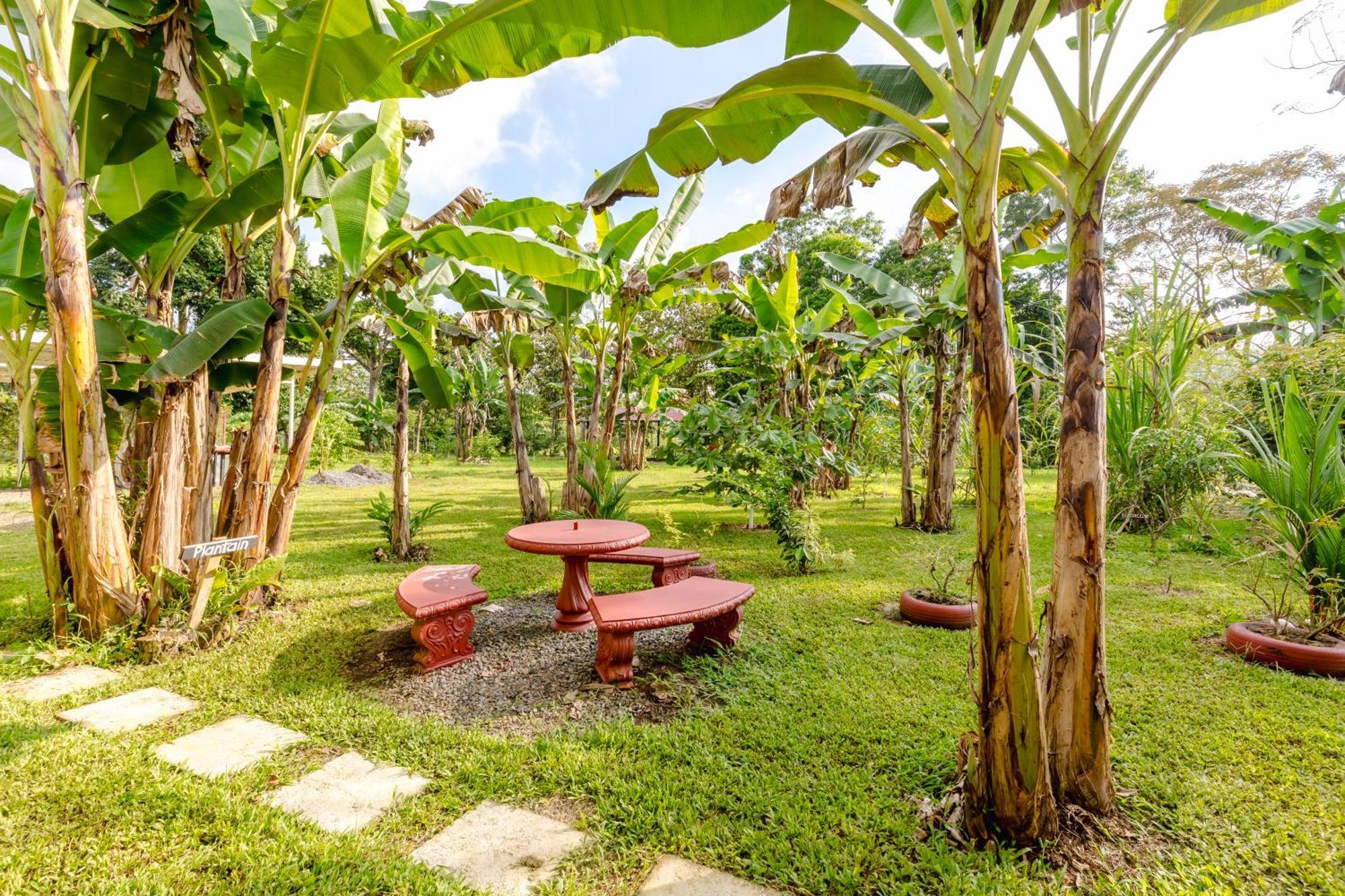 Apartment Rio Celeste, Aire Acondicionado, Comodidad